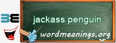 WordMeaning blackboard for jackass penguin